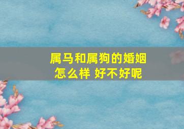 属马和属狗的婚姻怎么样 好不好呢